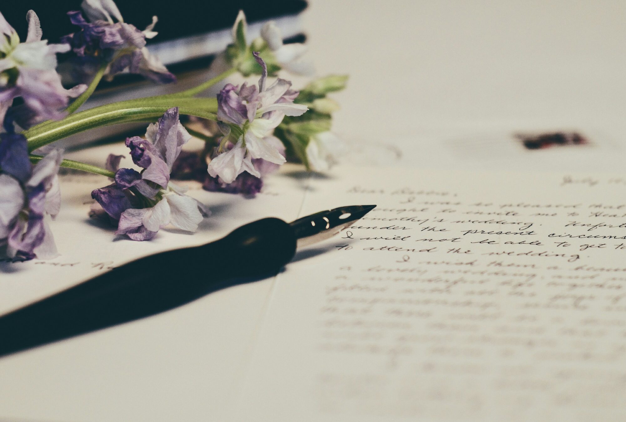 A handwritten letter with flowers, a quiet moment of reflection